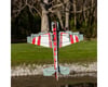 Image 15 for E-flite Eratix 3D Flat Foamy PNP Electric Airplane (860mm)