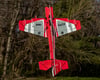 Image 9 for E-flite Eratix 3D Flat Foamy PNP Electric Airplane (860mm)