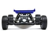 Image 7 for Losi Mini-B 1/16 Brushed RTR 2WD Buggy (Blue / White)