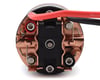 Image 2 for Ruddog 5-Slot Brushed Crawler Motor (13T)