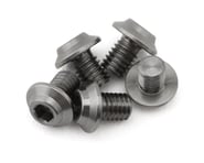 more-results: Screw Overview: The 1UP Racing Pro Duty Titanium LowPro Screws offer superior quality 