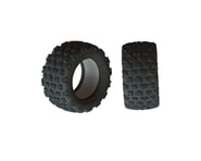 more-results: These dBoots COPPERHEAD2 SB MT tires and inserts provide optimum performance on a wide