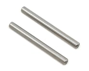 XRAY XB2 Rear Outer Pivot Pin (2) | product-related