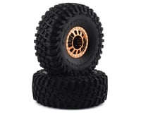 Losi Copper 2.2 Wheels with BFG Tire for Lasernut Ultra 4 LOS43028