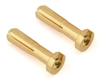 Ruddog 4mm Gold Male Bullet Plug (2) (10mm Long)