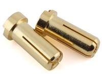 Ruddog 5mm Gold Male Bullet Plug (2) (14mm Long)