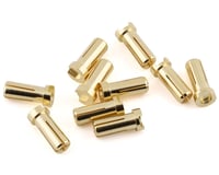 Ruddog 5mm Gold Male Bullet Plug (10) (14mm Long)